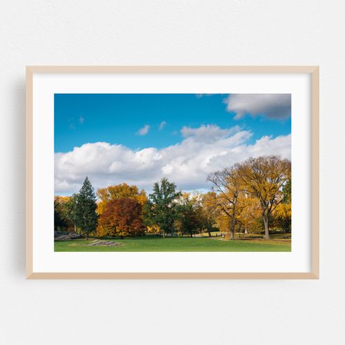Central Park Autumn 01