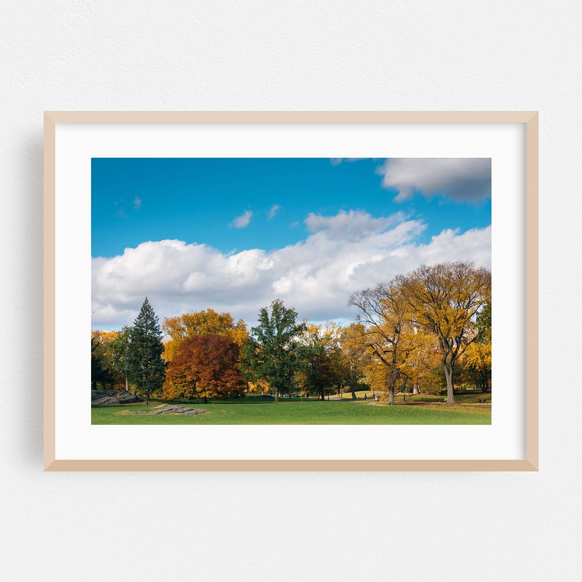 Central Park Autumn 01 – image 1 of 6