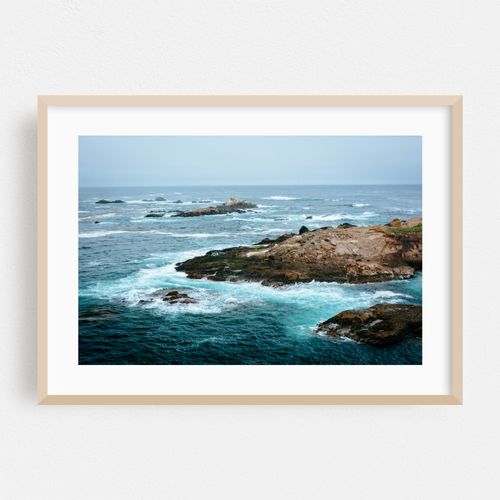 Point Lobos Coastal 03