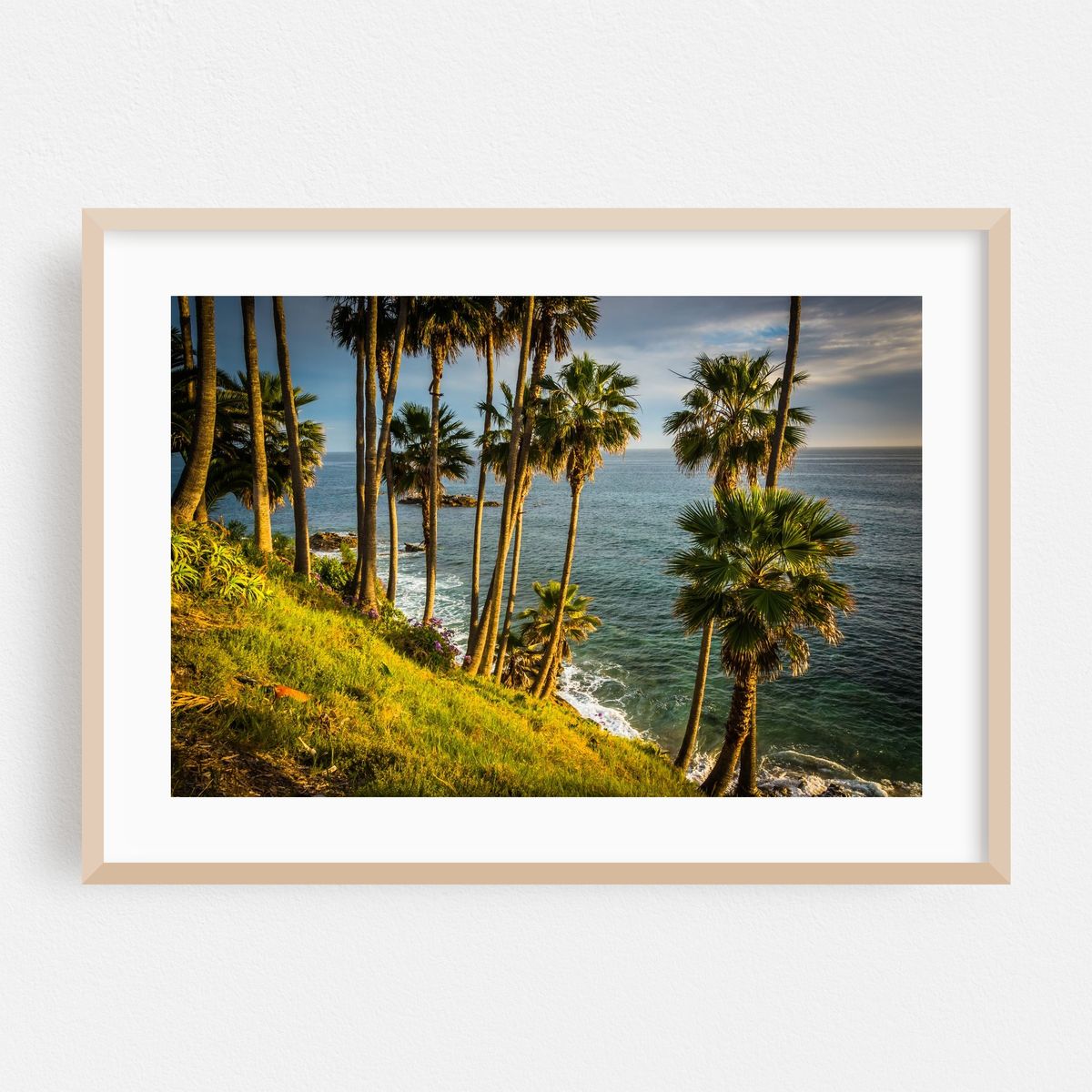 Palm Trees at Heisler Park – image 1 of 6