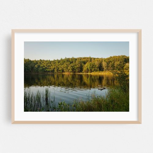 Puffers Pond, Amherst 02