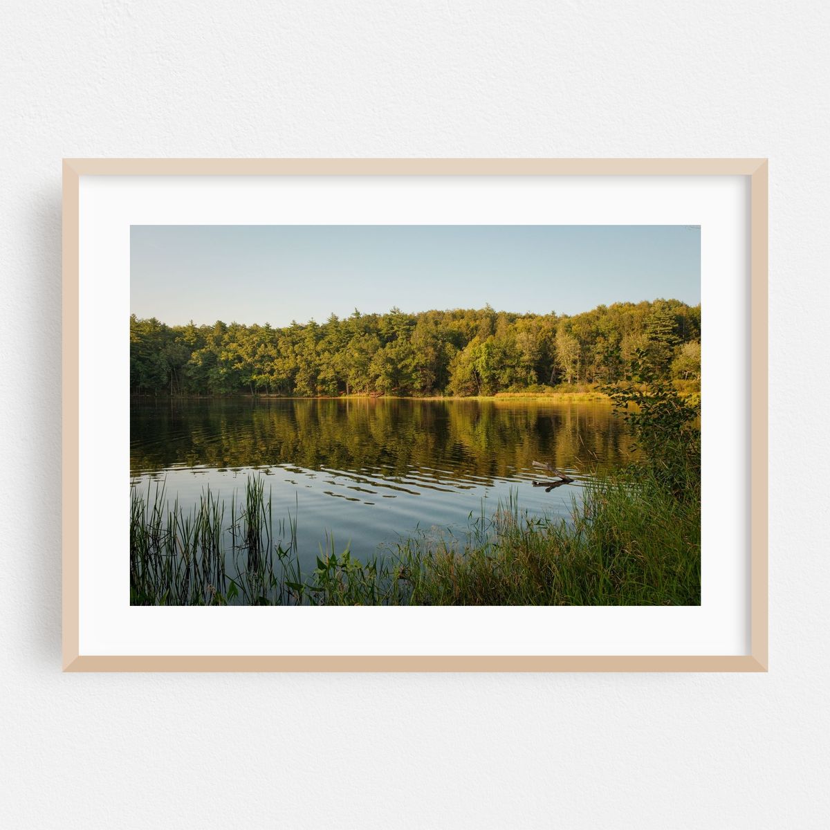 Puffers Pond, Amherst 02 – image 1 of 6