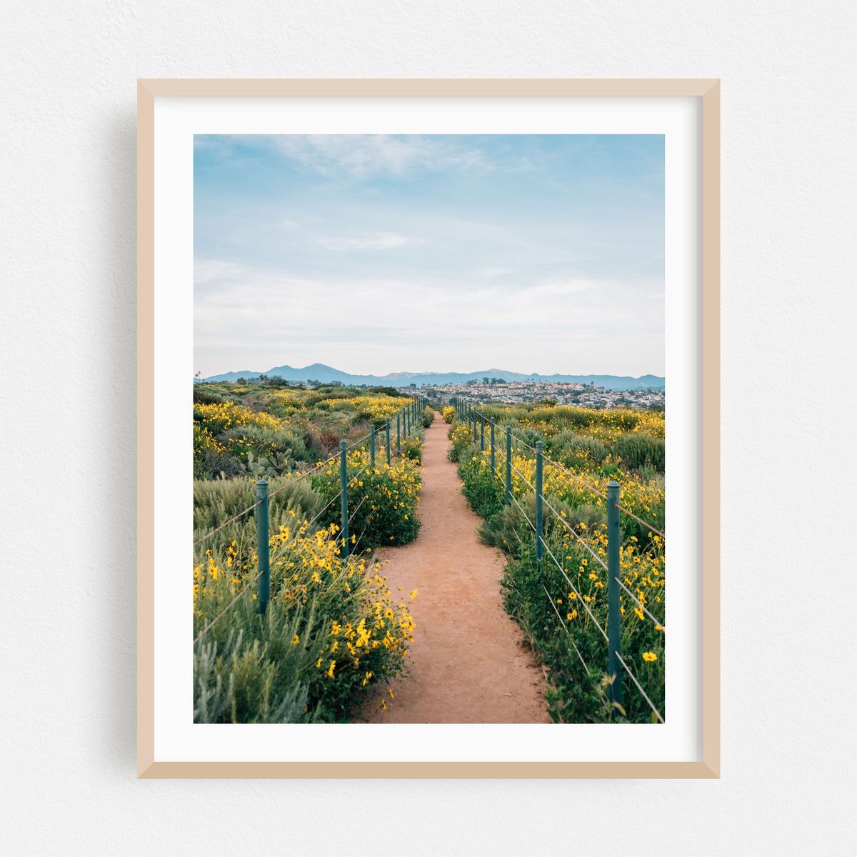 Trail at Hilltop Park, Dana Point – image 1 of 12