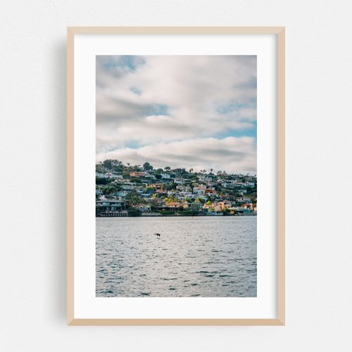 Point Loma Hills