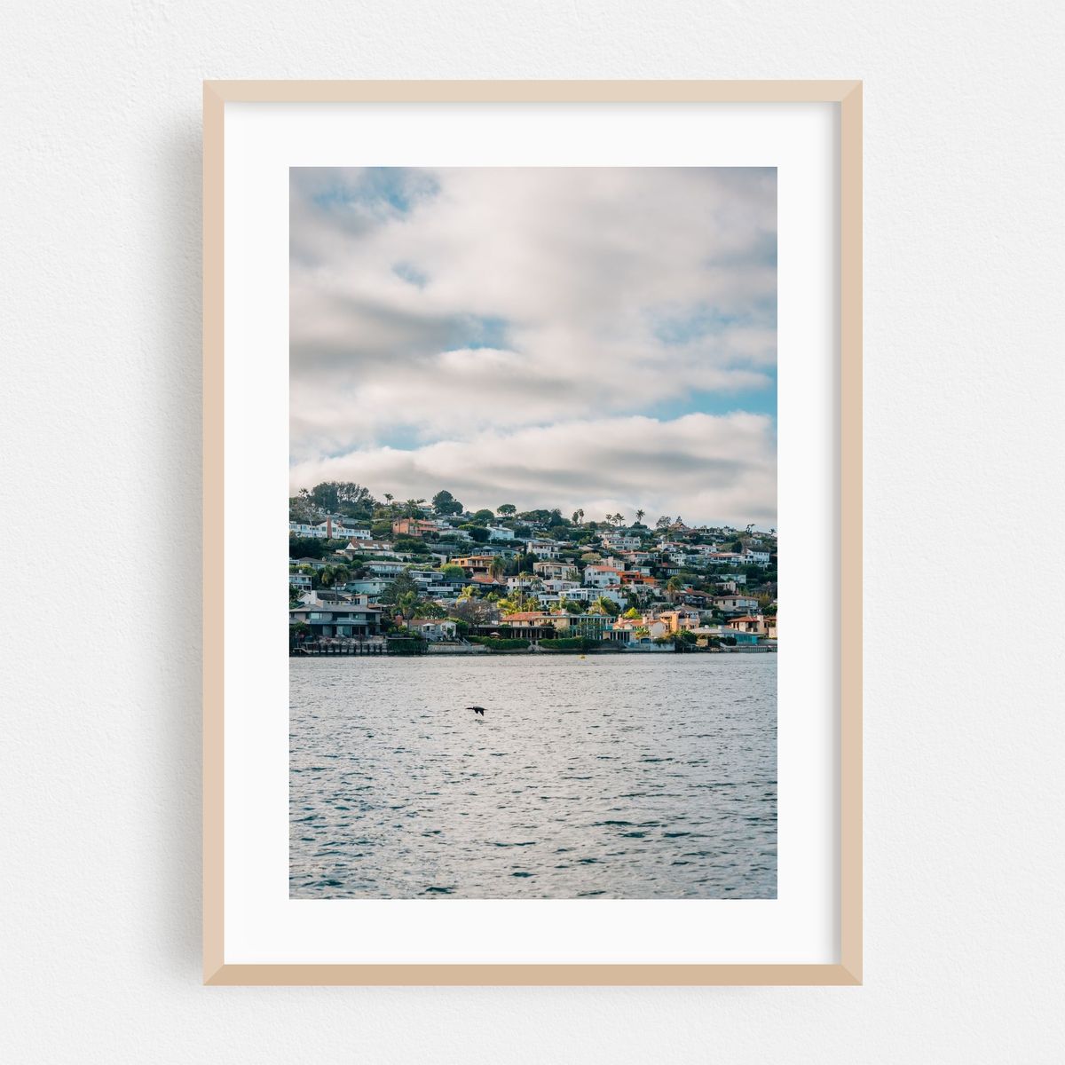 Point Loma Hills – image 1 of 16