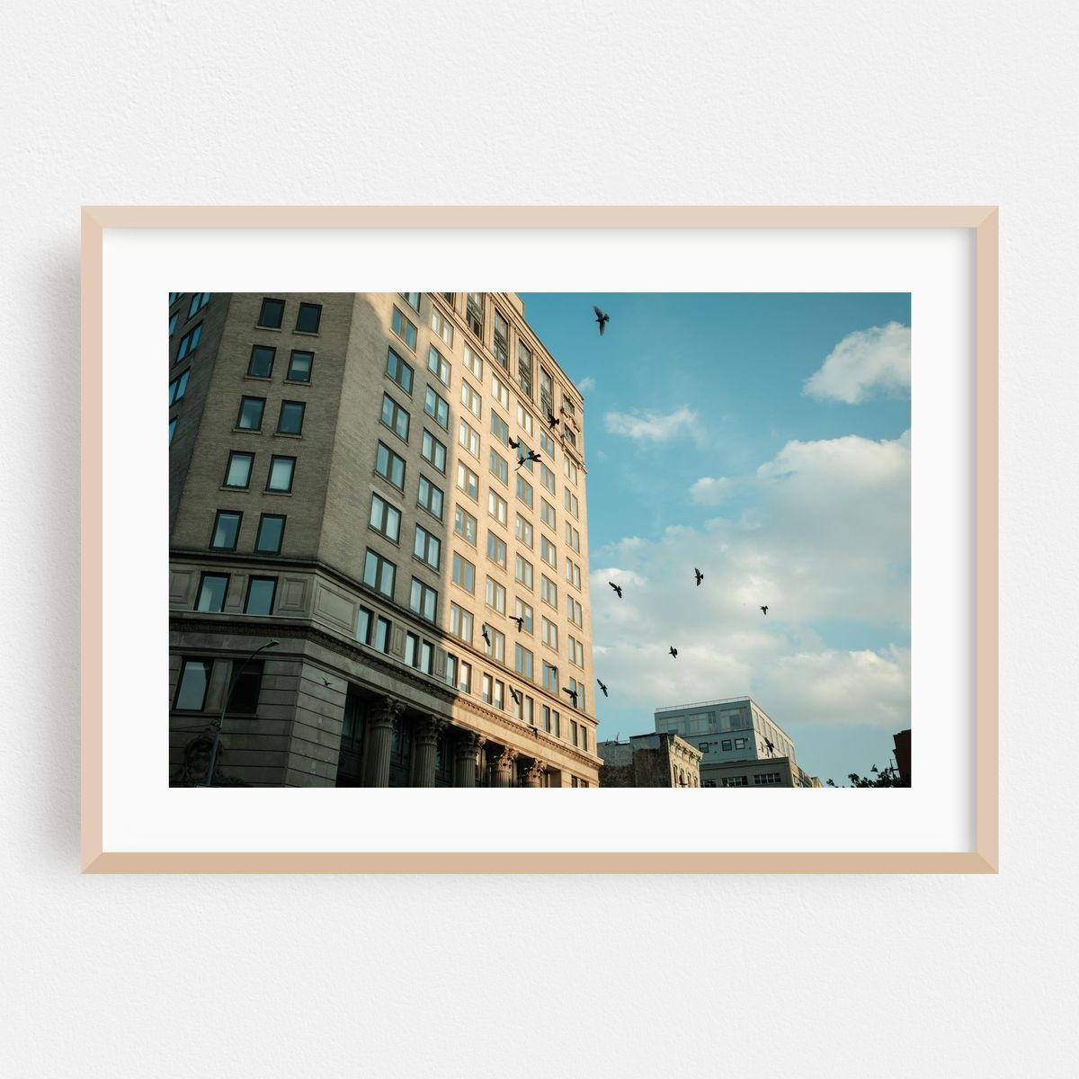 Birds, Soho 02 – image 1 of 6
