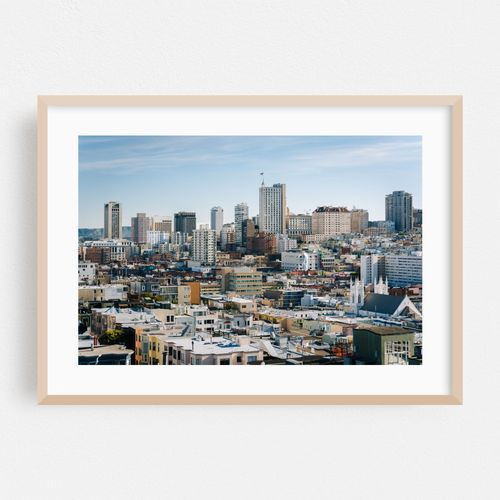 From Pioneer Park, San Francisco 02