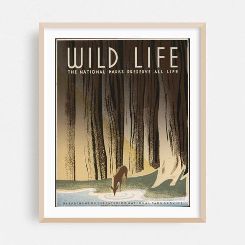 Wild life The national parks preserve all life. (1936)