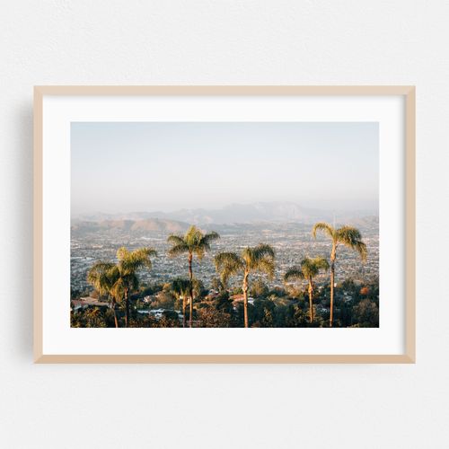 Mount Helix Palms