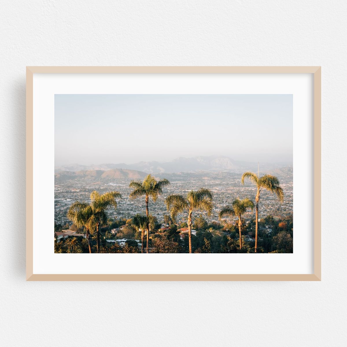 Mount Helix Palms – image 1 of 6