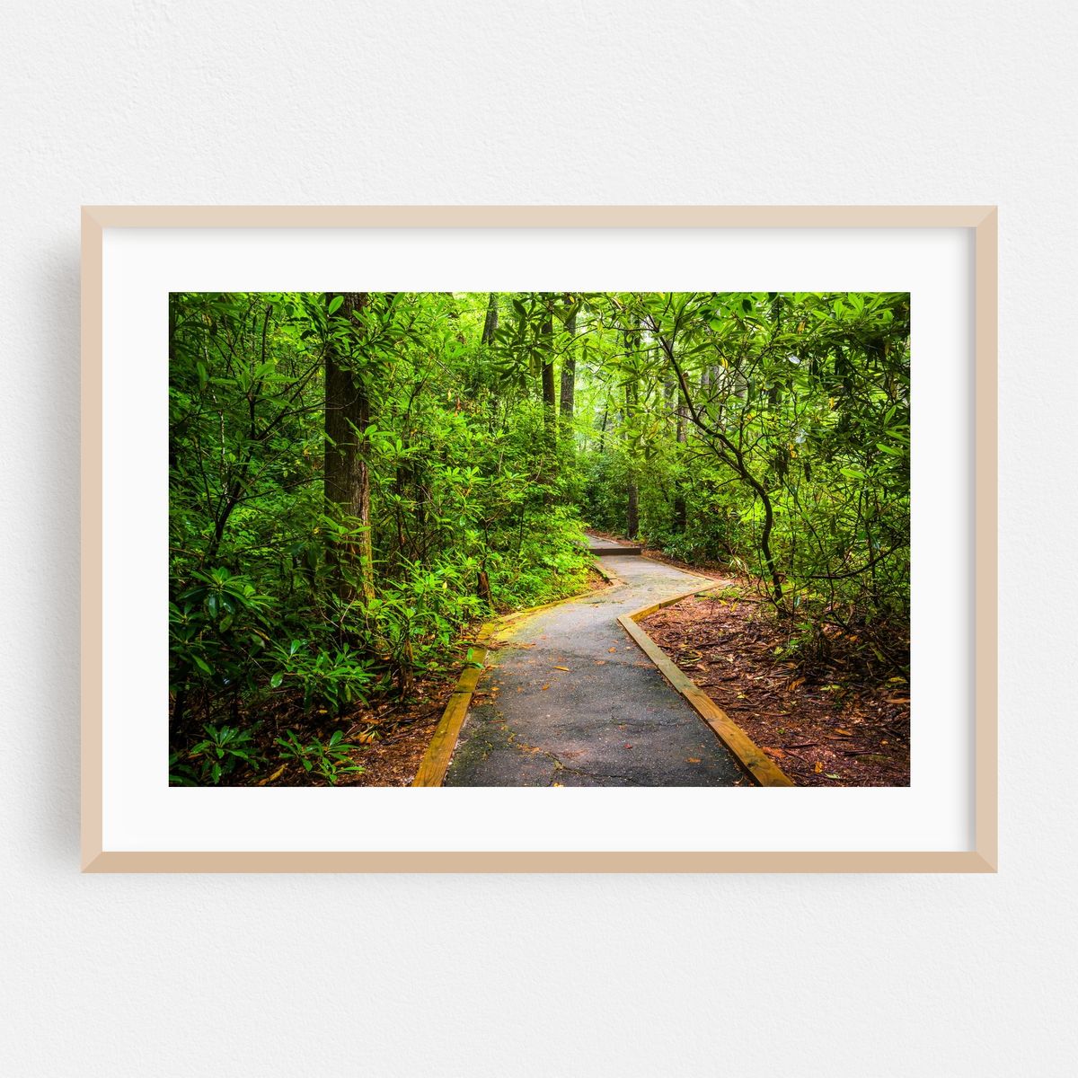 Table Rock State Park – image 1 of 6