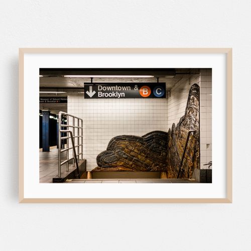 81st Street-Museum of Natural History Station 02