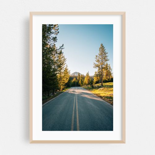 Spring Canyon Road