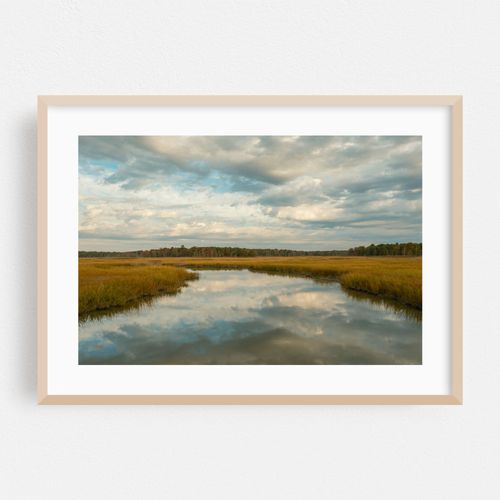 Wetland in Heislerville 02