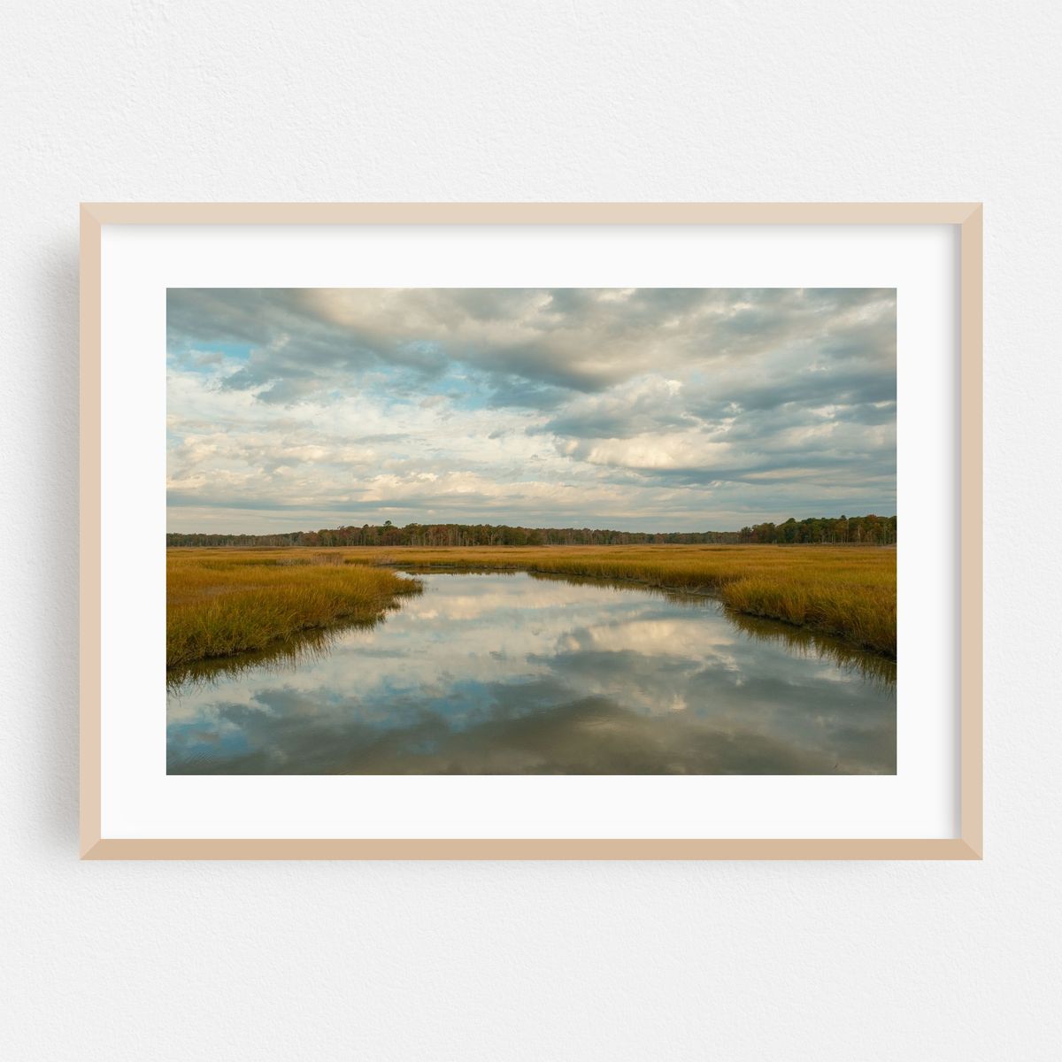 Wetland in Heislerville 02 – image 1 of 6