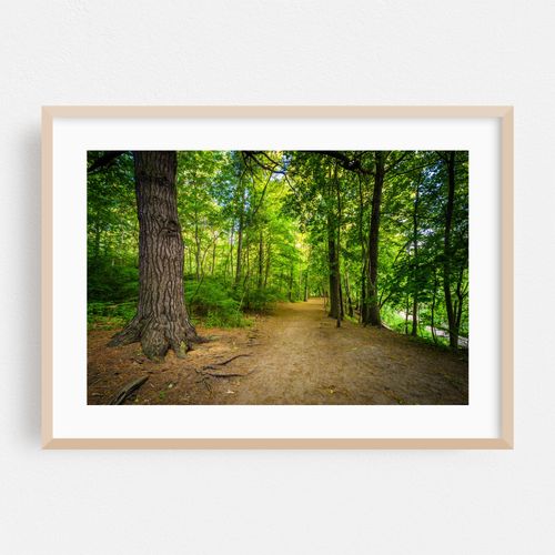 High Park