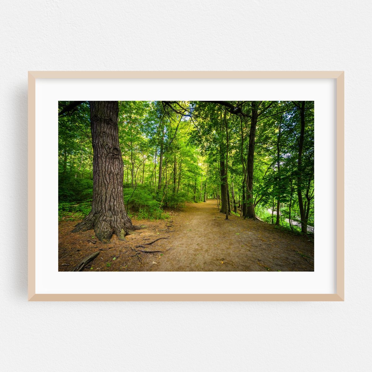 High Park – image 1 of 9