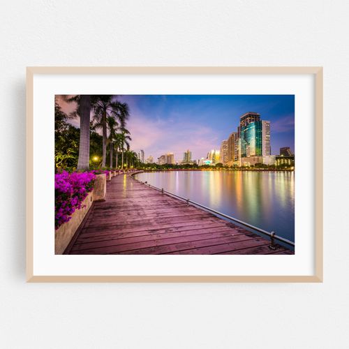Palms along Lake Rajada