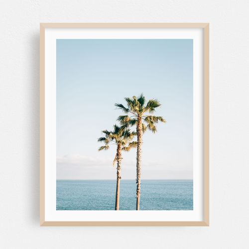 Treasure Island Palms, Laguna Beach 02