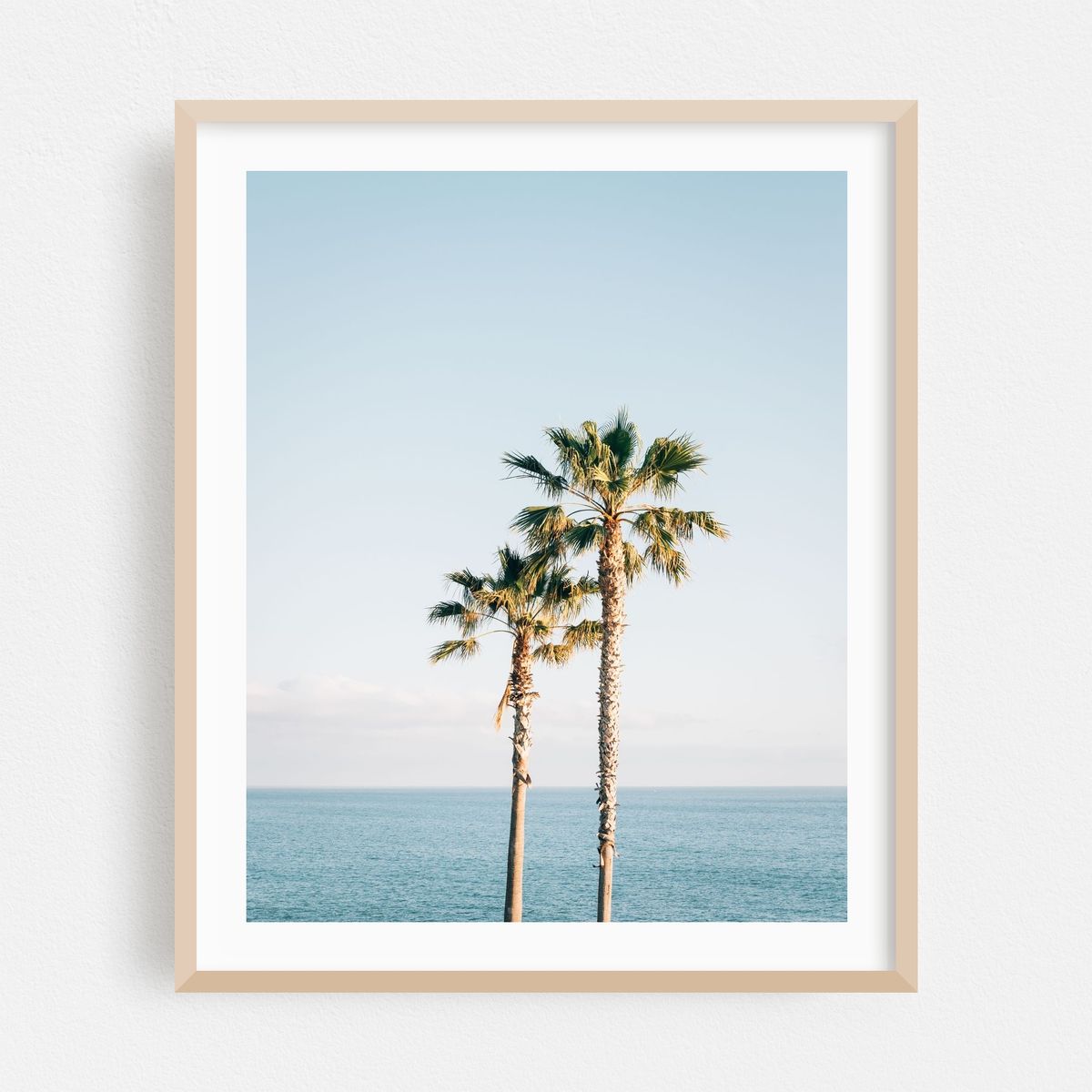 Treasure Island Palms, Laguna Beach 02 – image 1 of 12