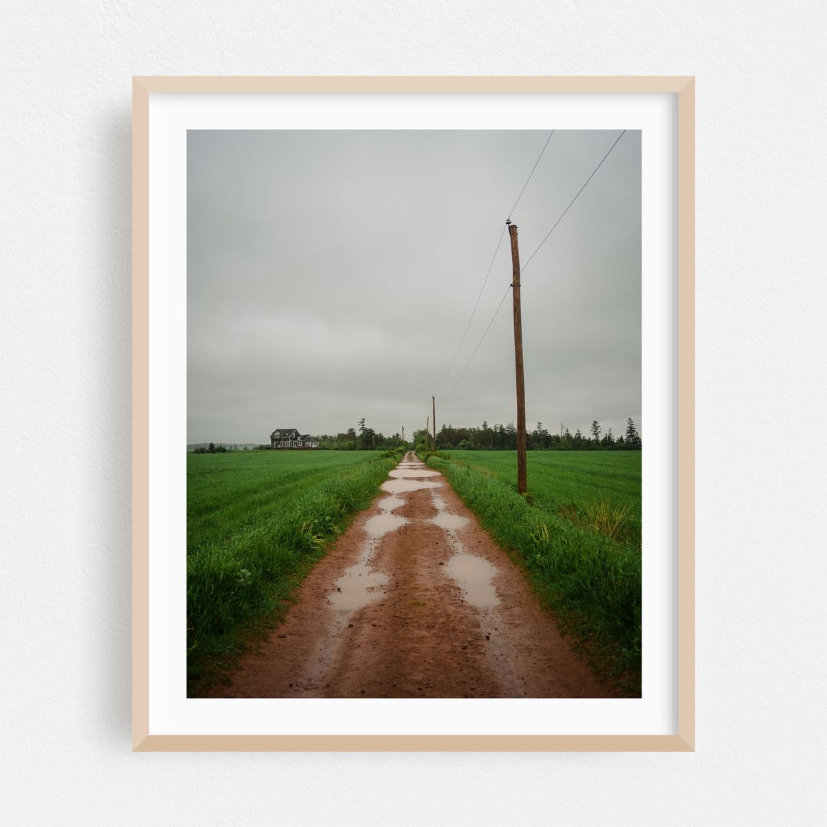 Dirt Road, Cape Tryon – image 1 of 12