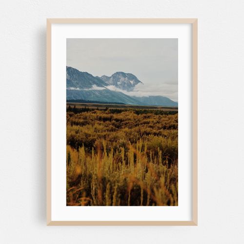Misty Mount Moran