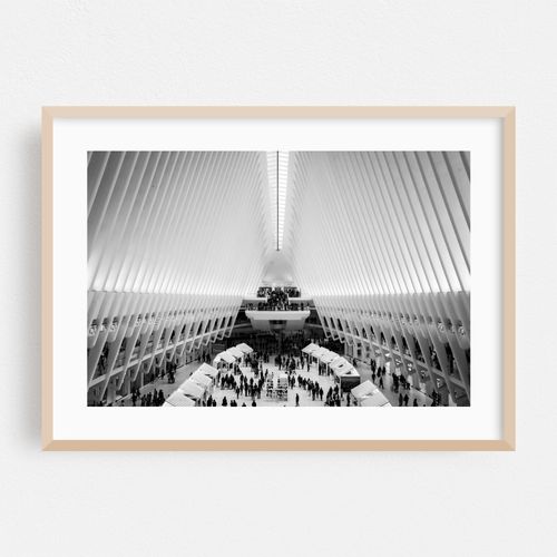 Oculus 09