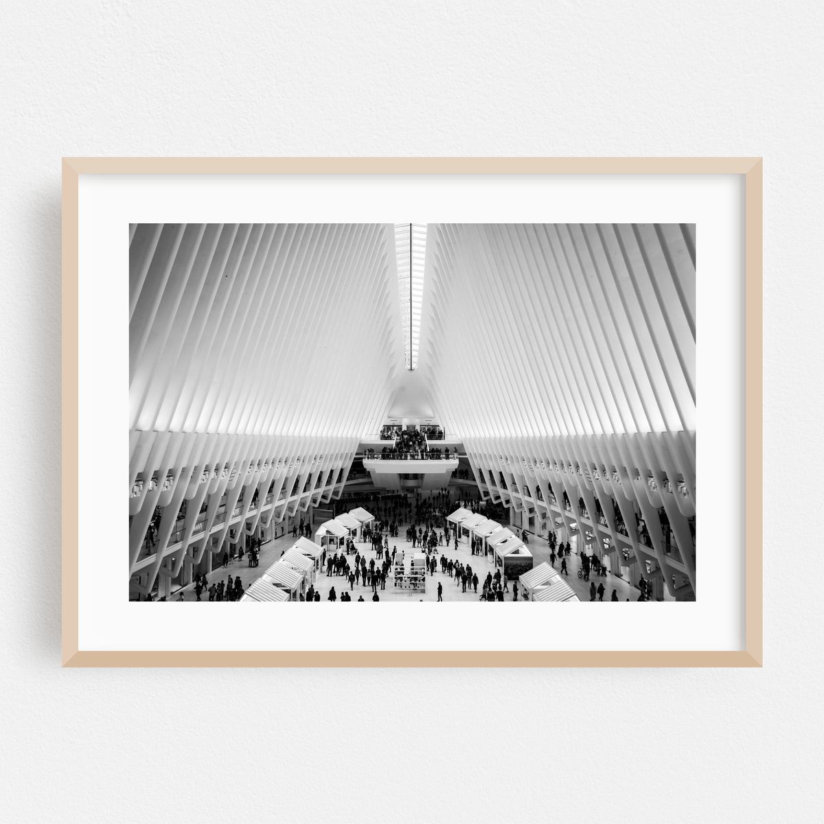 Oculus 09 – image 1 of 6
