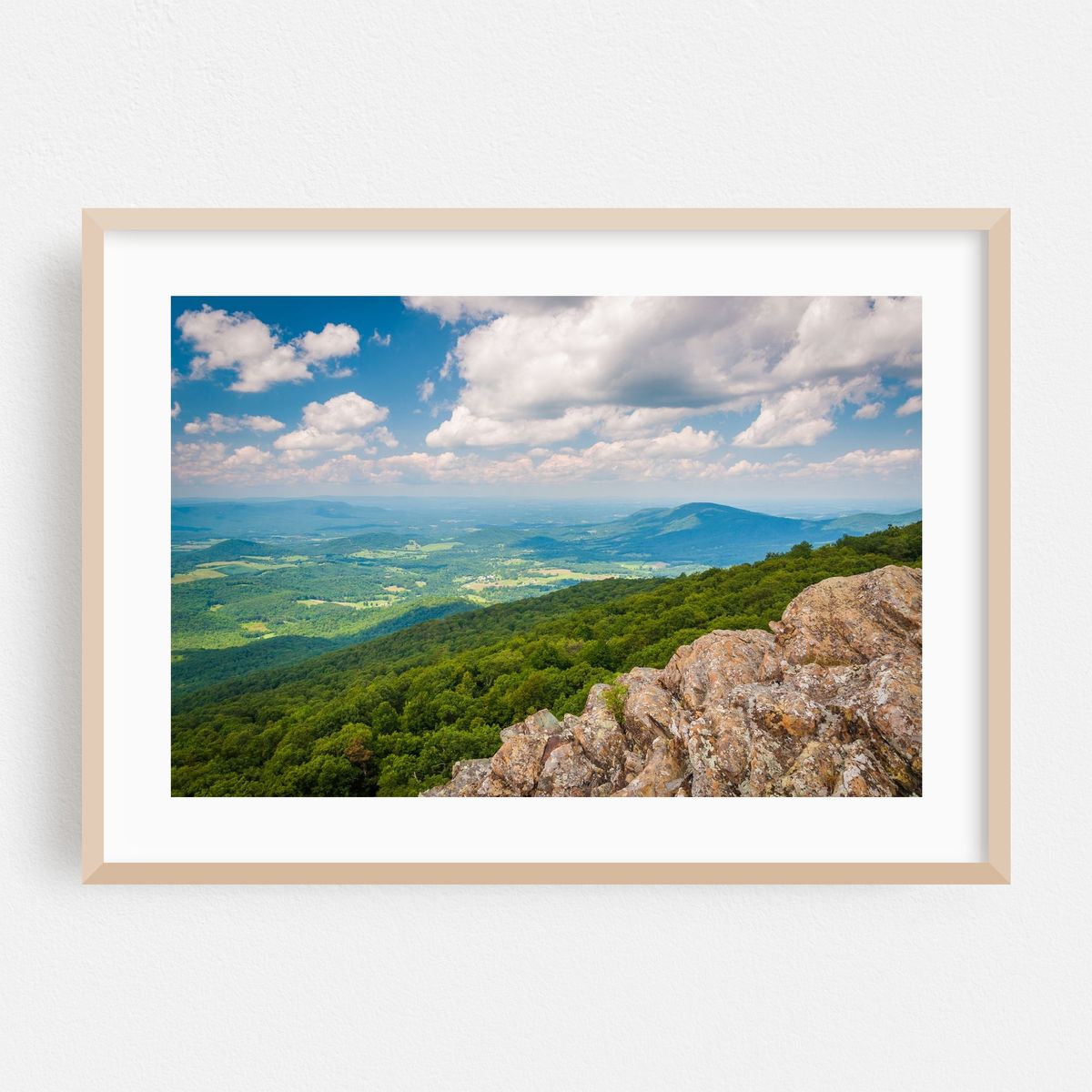 South Marshall – image 1 of 6