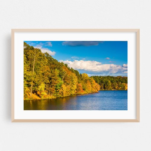 Early Fall Lake Williams
