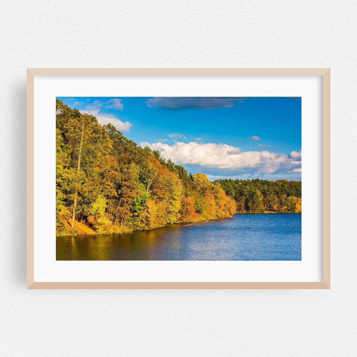 Early Fall Lake Williams – image 1 of 6