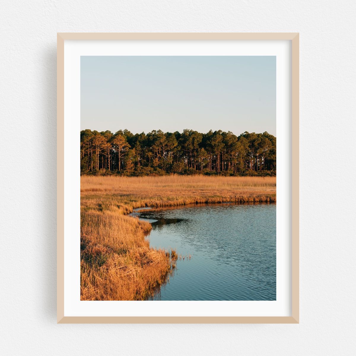 Marsh, Bodie Island 02 – image 1 of 12