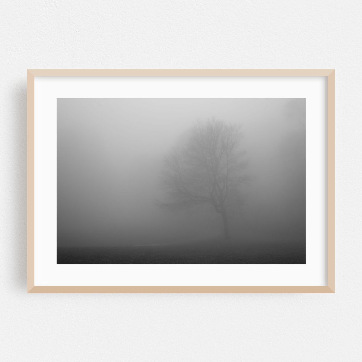 Major Fade – image 1 of 6