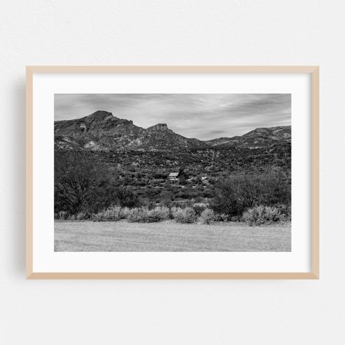 Desert Serenity