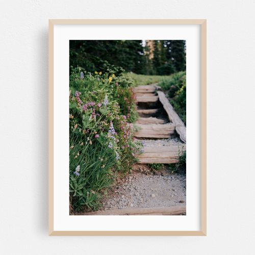 Wildflower Steps