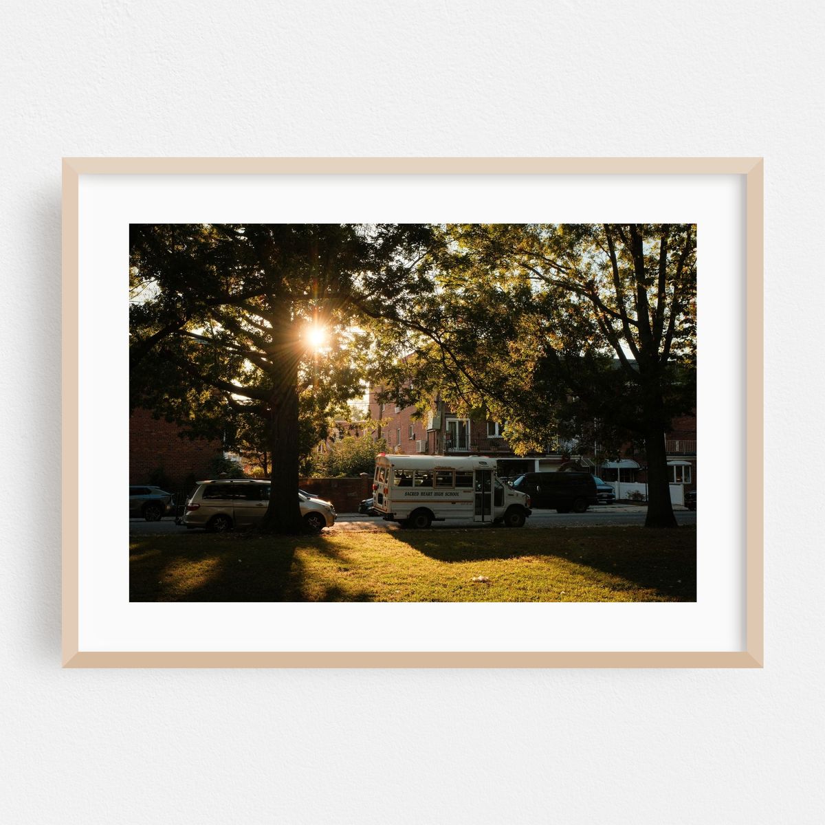 Sunshine at Juniper Valley Park, Queens – image 1 of 6