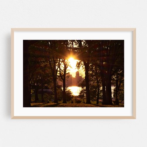 Sunset Serenade