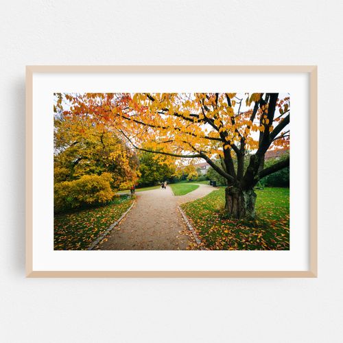 Botanisk Have