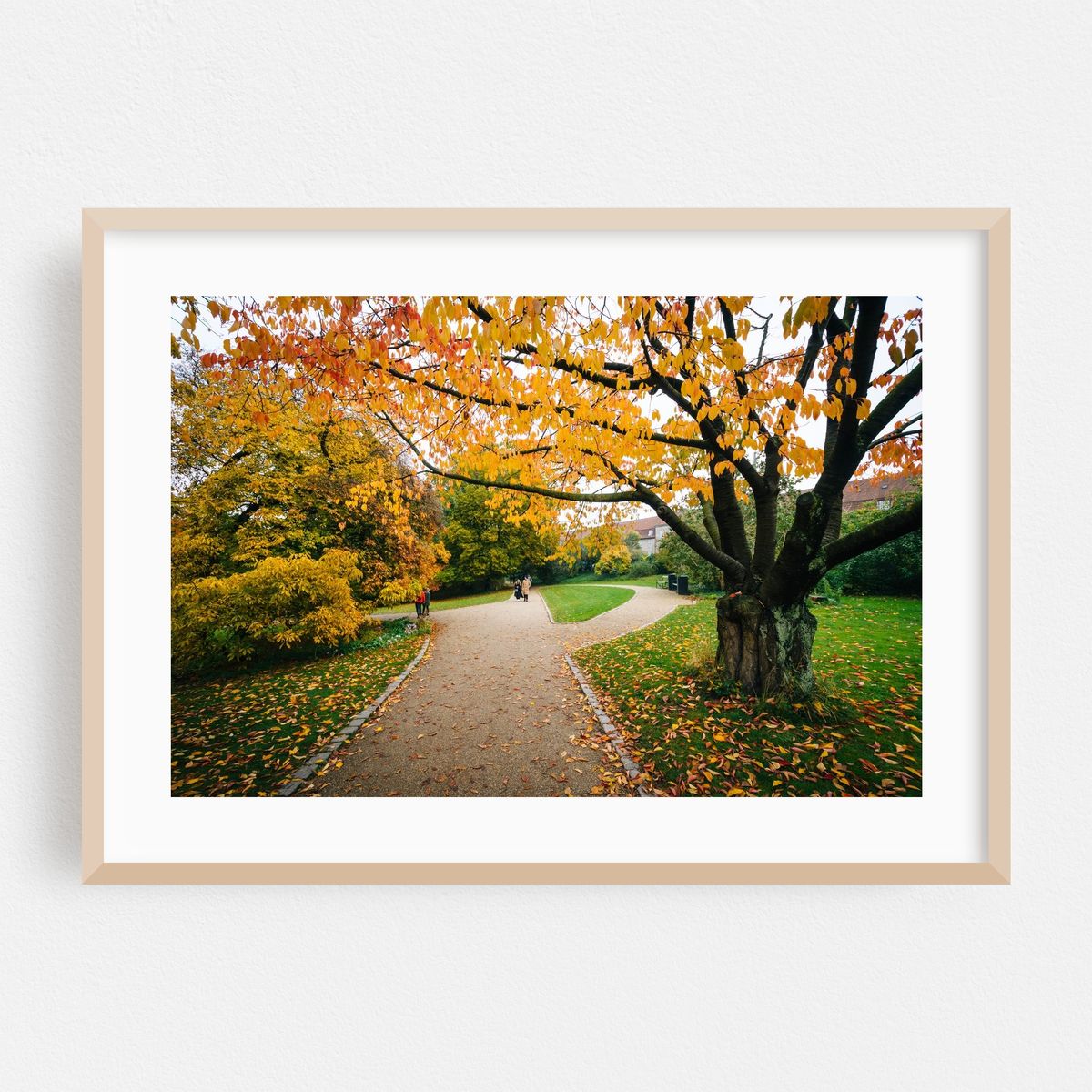 Botanisk Have – image 1 of 6