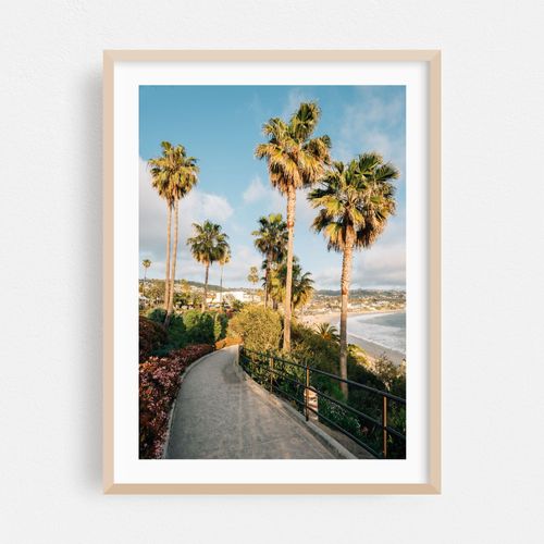 Heisler Park Palms, Laguna Beach 02