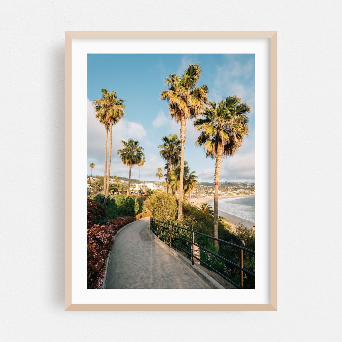 Heisler Park Palms, Laguna Beach 02 – image 1 of 15