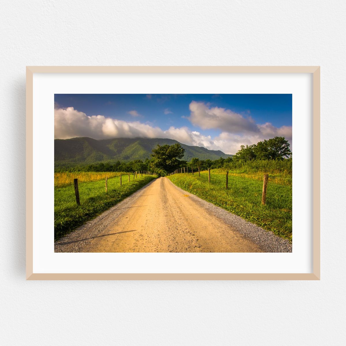 Cade's Cove Fade – image 1 of 6