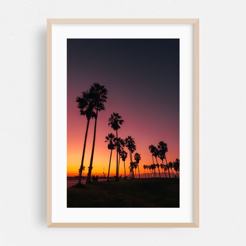Venice Palms Sunset 01