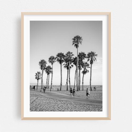 Palms, Santa Monica 02 B&W