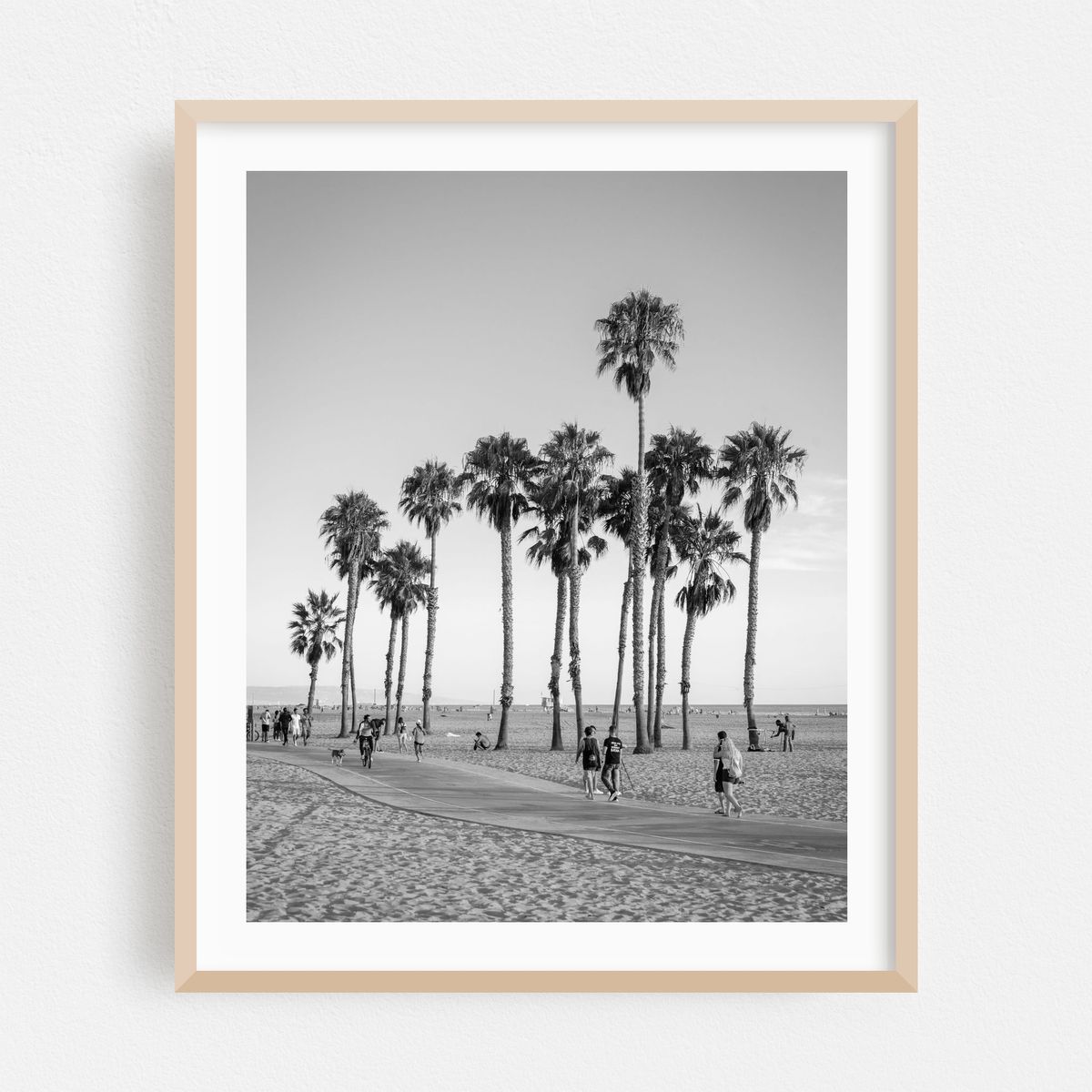 Palms, Santa Monica 02 B&W – image 1 of 12