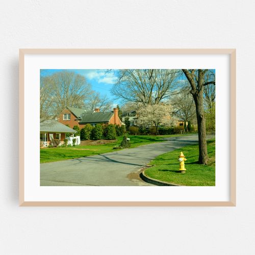 Spring in Wytheville