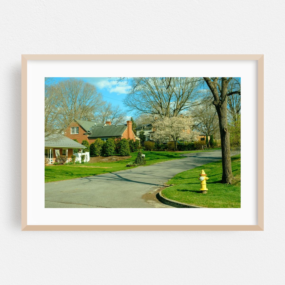 Spring in Wytheville – image 1 of 6