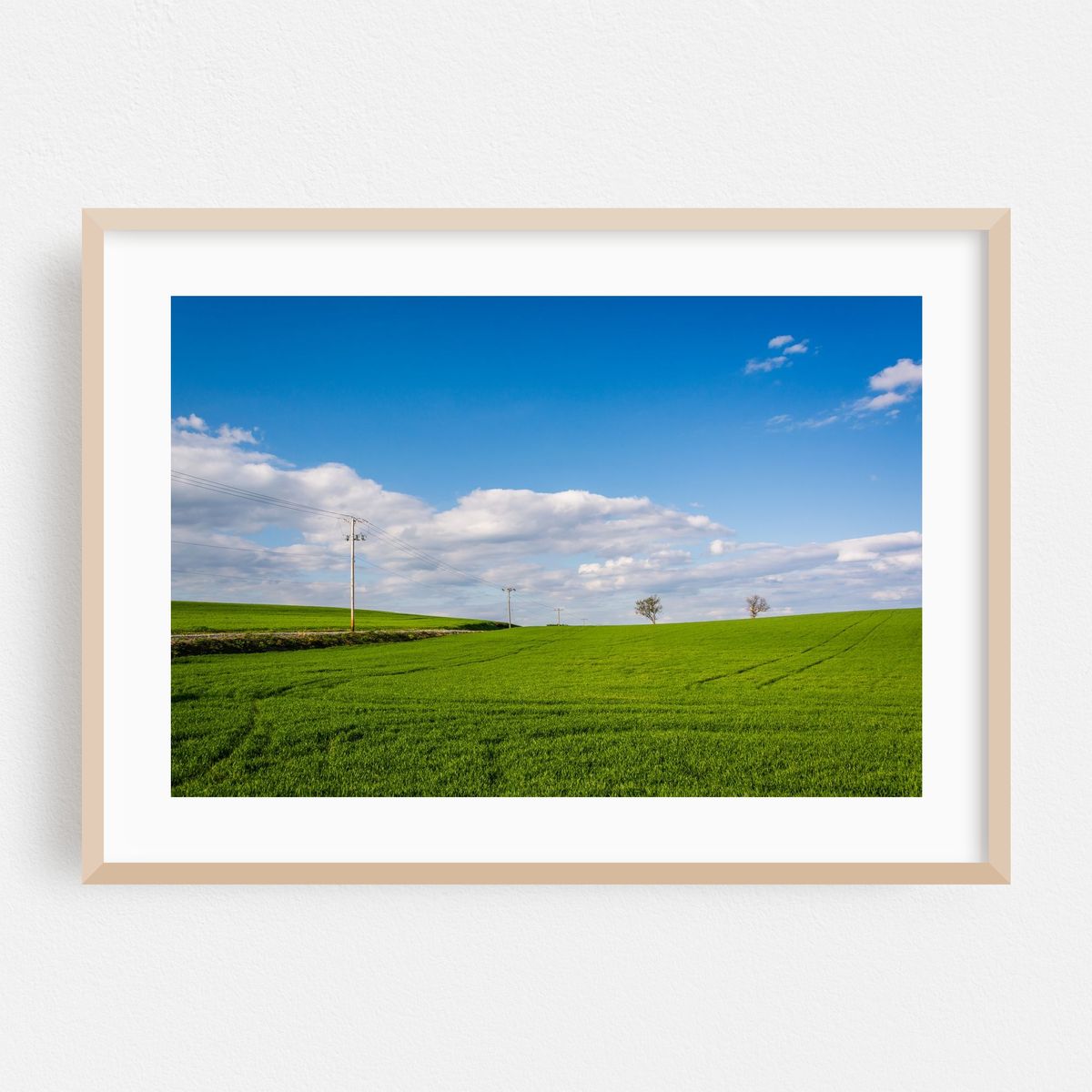 Big Green – image 1 of 6
