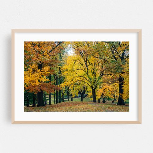 Central Park Autumn 02