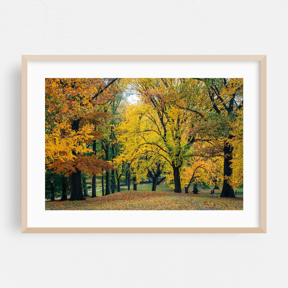 Central Park Autumn 02 – image 1 of 6